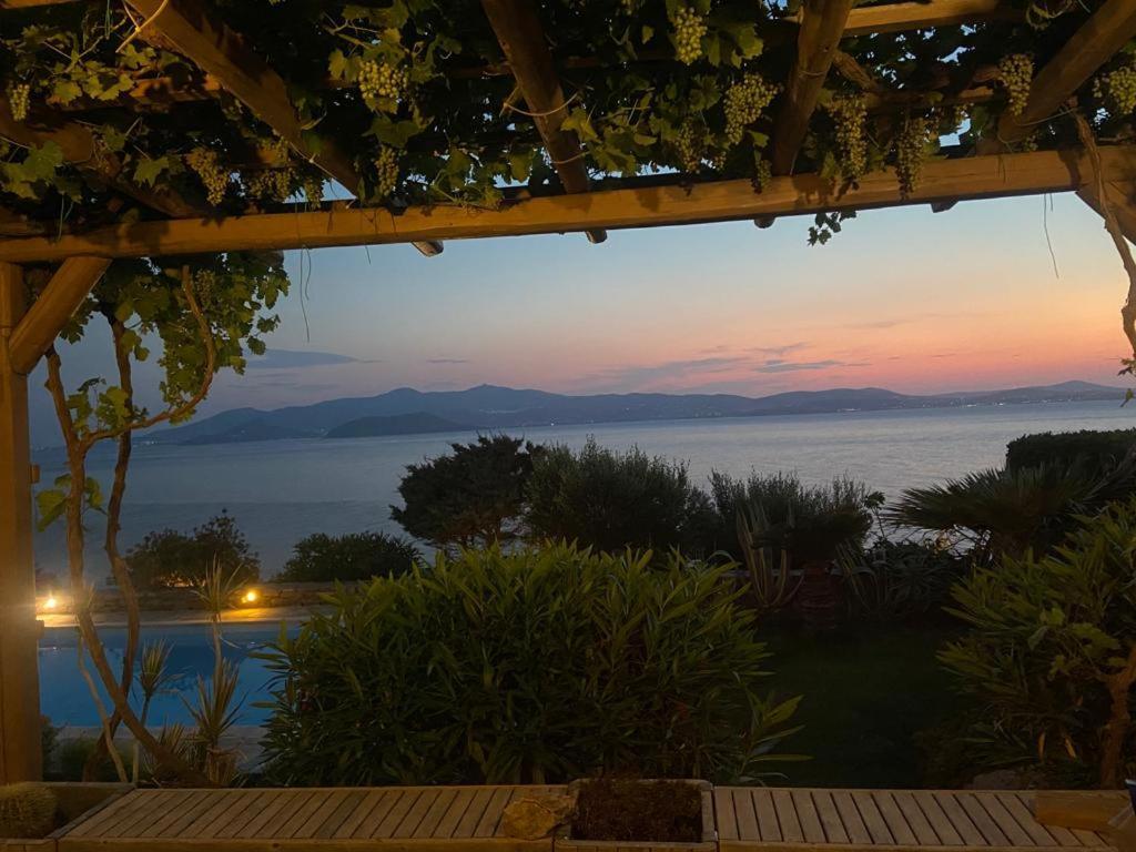 Apartament Ines's Dream